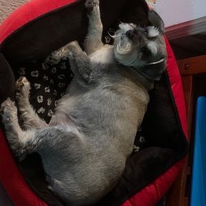 Meet your Posher, Mary